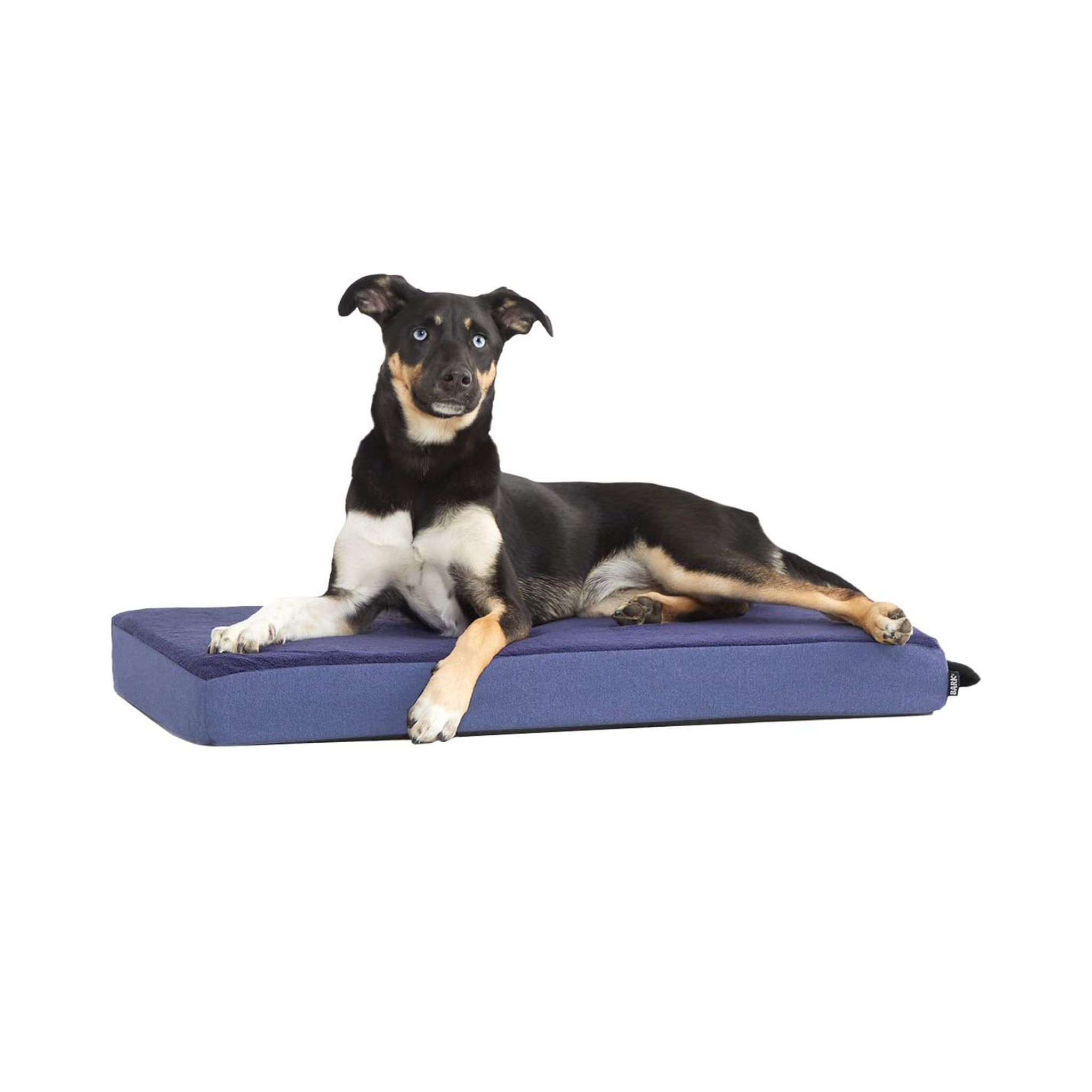 Barkbox Memory Foam Dog Bed - EachPaw