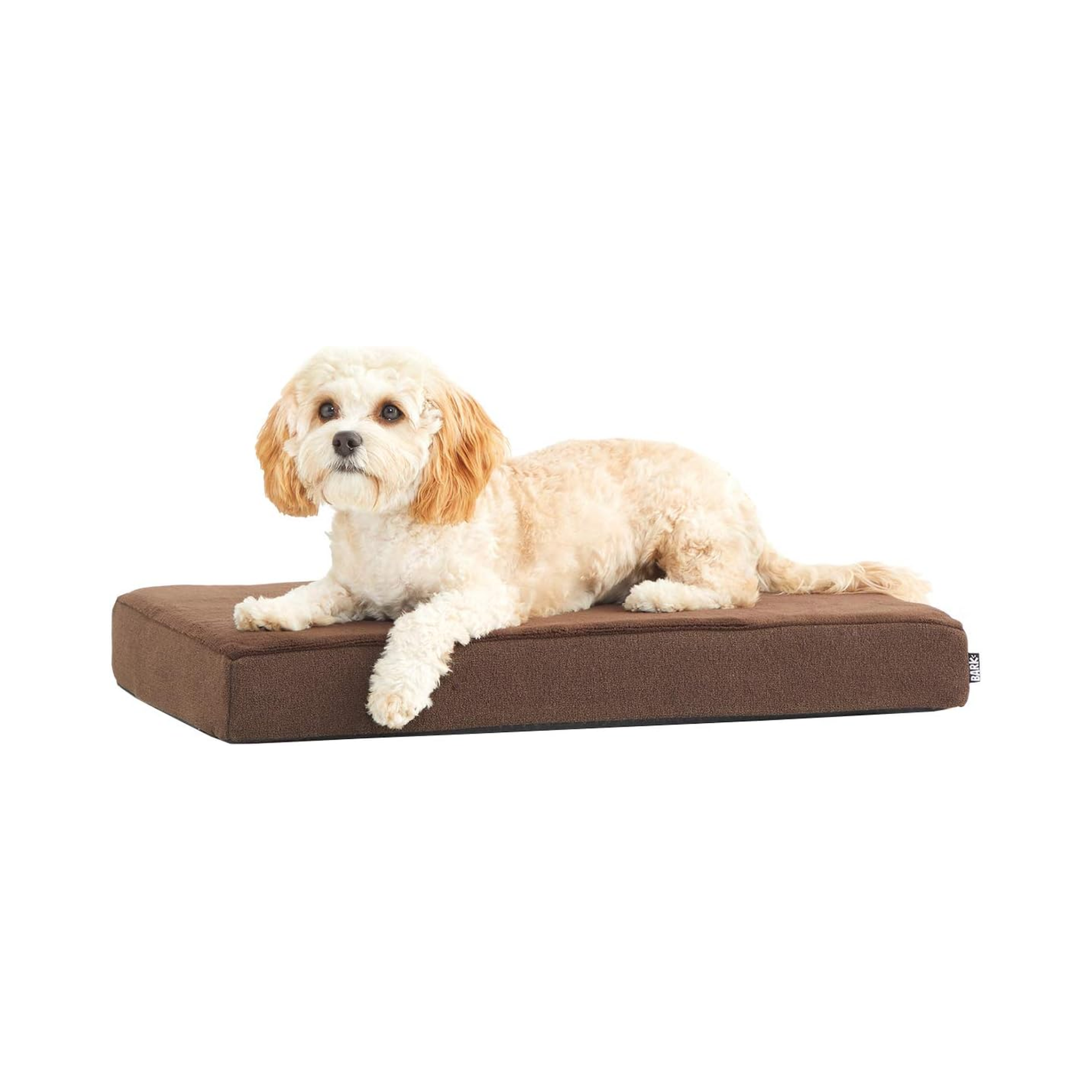 Barkbox Memory Foam Dog Bed - EachPaw