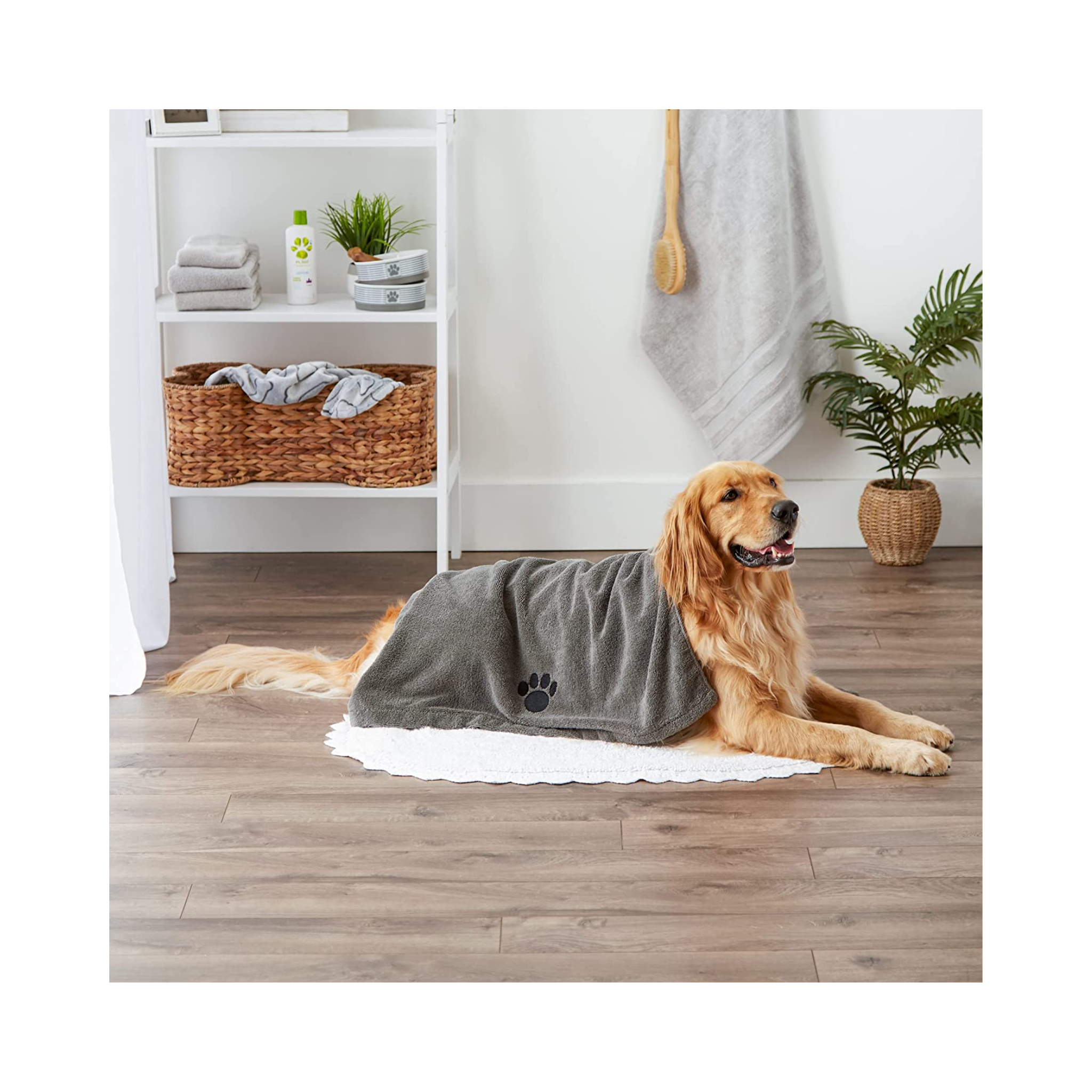 Bone Dry Microfiber Towel - EachPaw