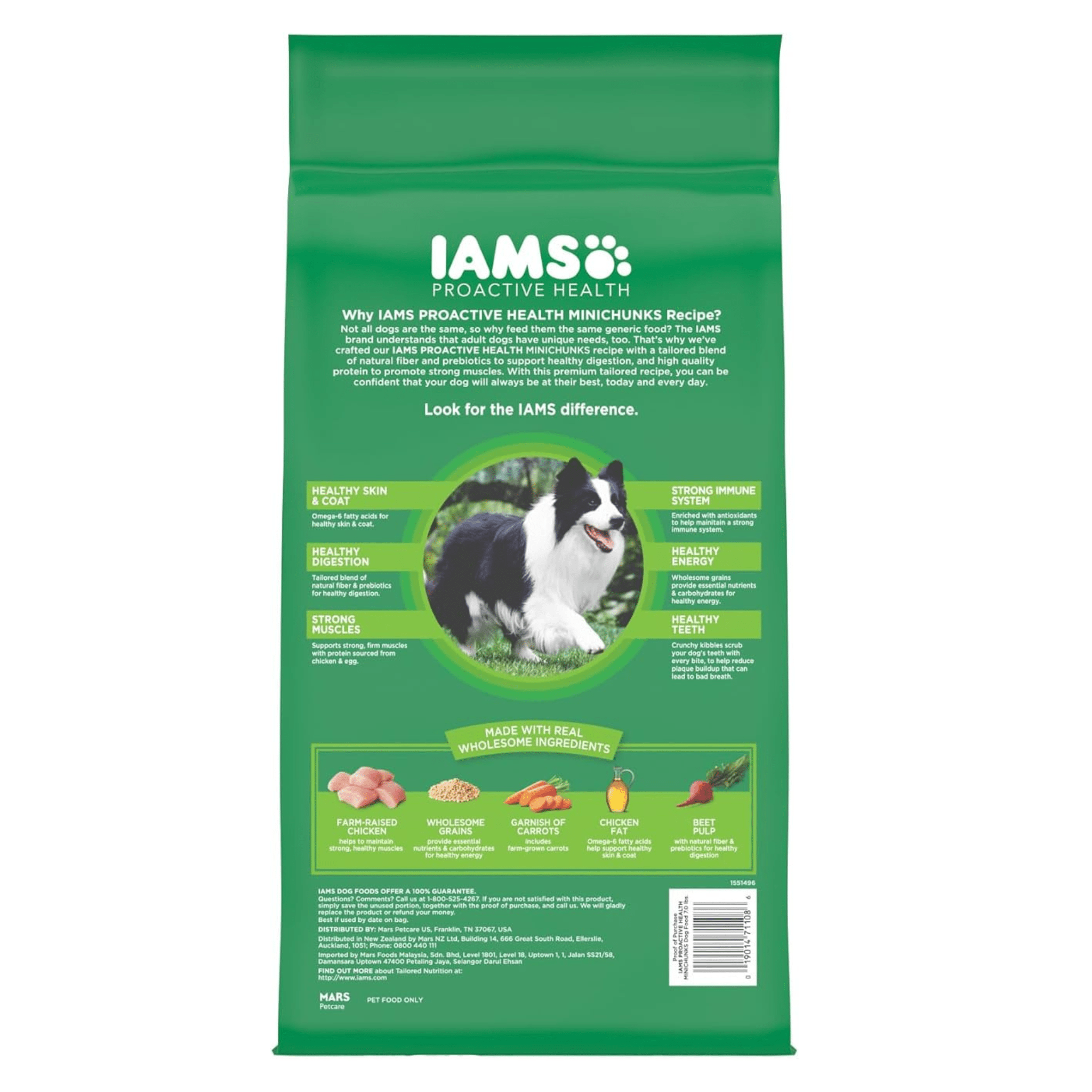 A green bag of Iams Proactive Health Minichunks dog food featuring an image of a black and white Border Collie and icons representing the benefits of the product, such as healthy skin and strong immune system. The bag also highlights real wholesome ingredients like farm-raised chicken, wholesome grains, garnish of carrots, chicken fat, and beet pulp.