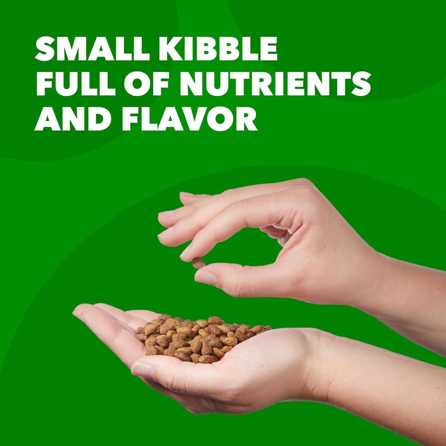 Two hands holding a small serving of brown kibble against a green background with the text "SMALL KIBBLE FULL OF NUTRIENTS AND FLAVOR" above.