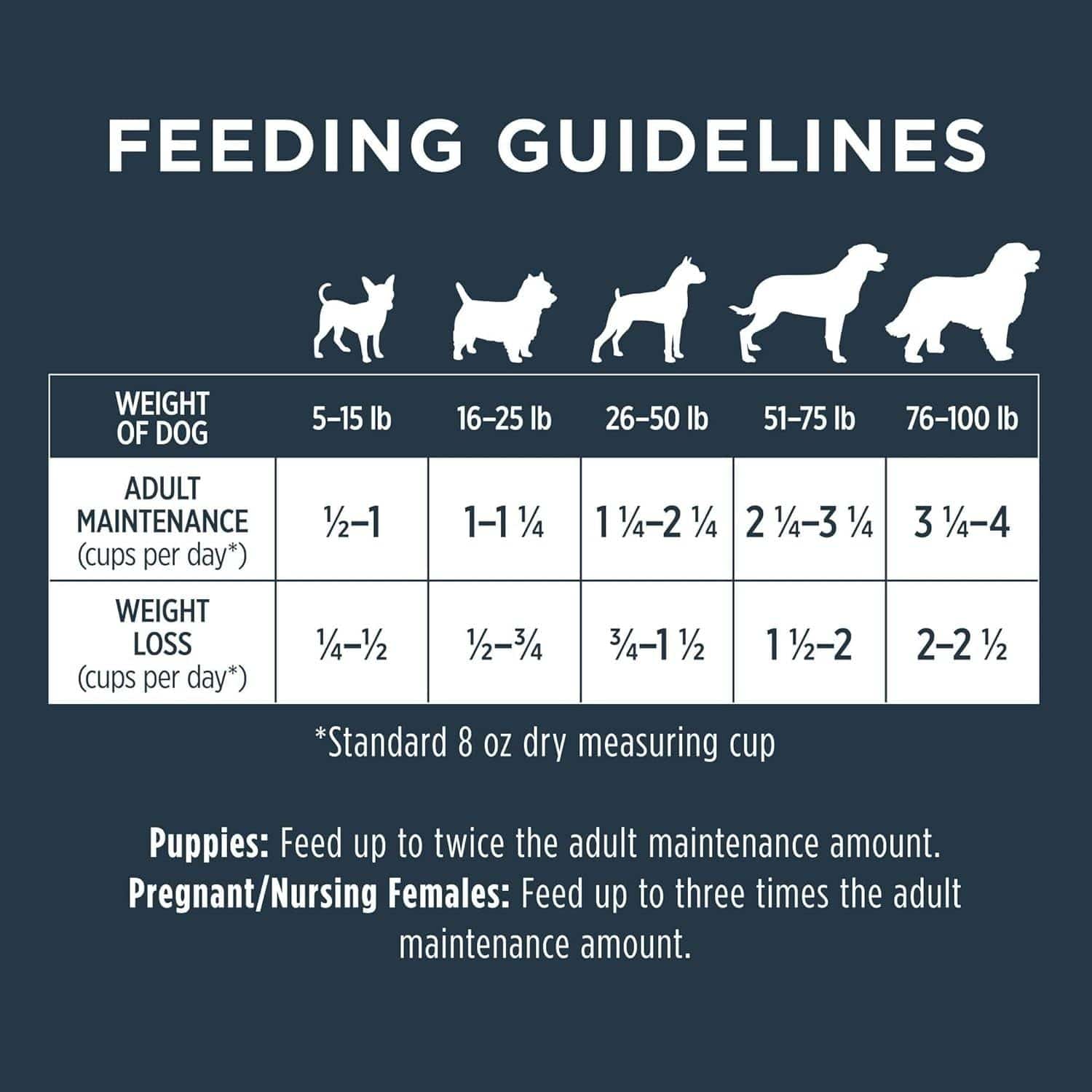 Dog feeding guidelines chart showing recommended food quantities for different dog weights. Silhouettes of dogs are shown along the top, with categories ranging from 5 to 100 pounds. Below, divided into adult maintenance and weight loss, suggested amounts of food in cups per day are listed according to weight ranges. Additional feeding recommendations for puppies and pregnant/nursing females are provided at the bottom.