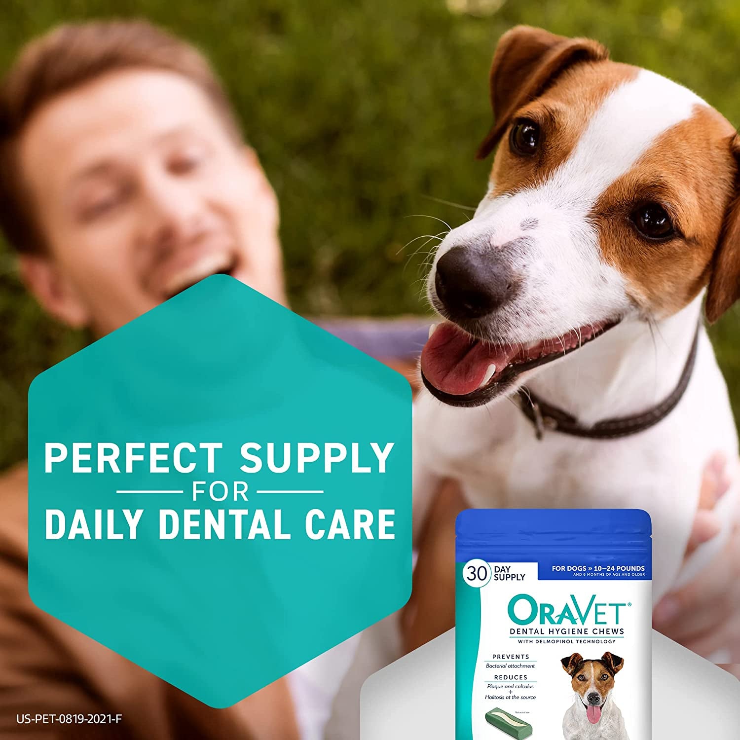 ORAVET Dental Chews for Dogs, Oral Care and Hygiene Chews (Small Dogs, 10-24 Lbs.) Blue Pouch, 30 Count