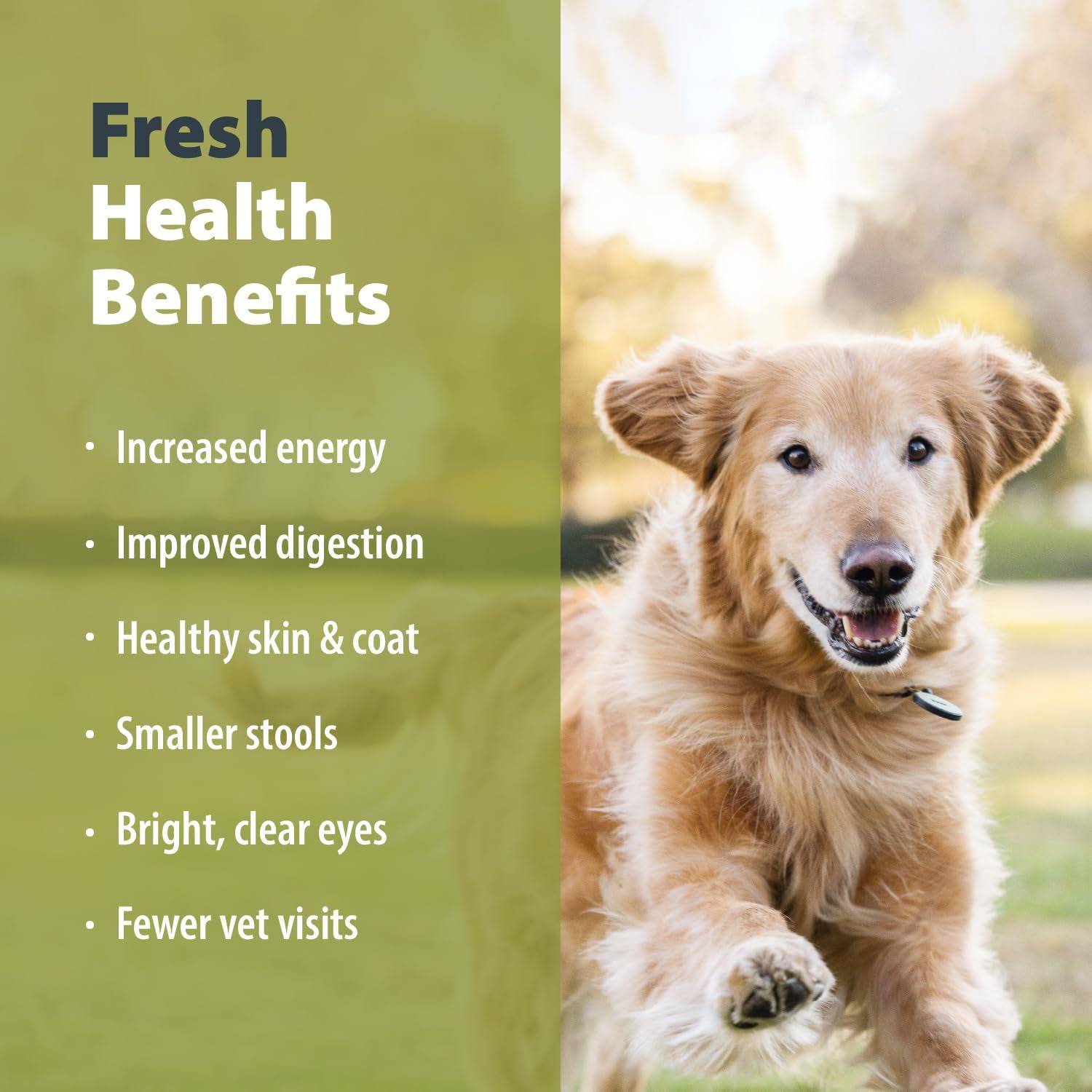 Golden Retriever running in a grassy area next to text 'Fresh Health Benefits' listing benefits such as increased energy, improved digestion, and fewer vet visits.