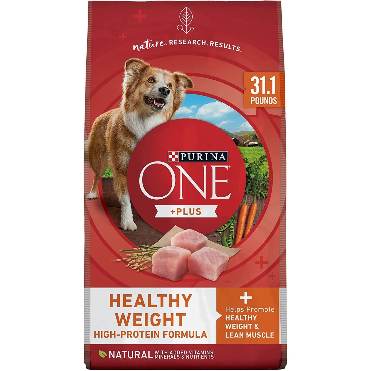 A package of Purina ONE +Plus Healthy Weight High-Protein Formula dog food. The red and white packaging highlights that the product is natural with added vitamins, minerals, and nutrients and helps promote healthy weight and lean muscle. There is an image of raw chicken pieces and fresh vegetables including carrots and green beans at the bottom, suggesting the ingredients of the dog food. The top right corner mentions the weight of the package as 31.1 pounds.