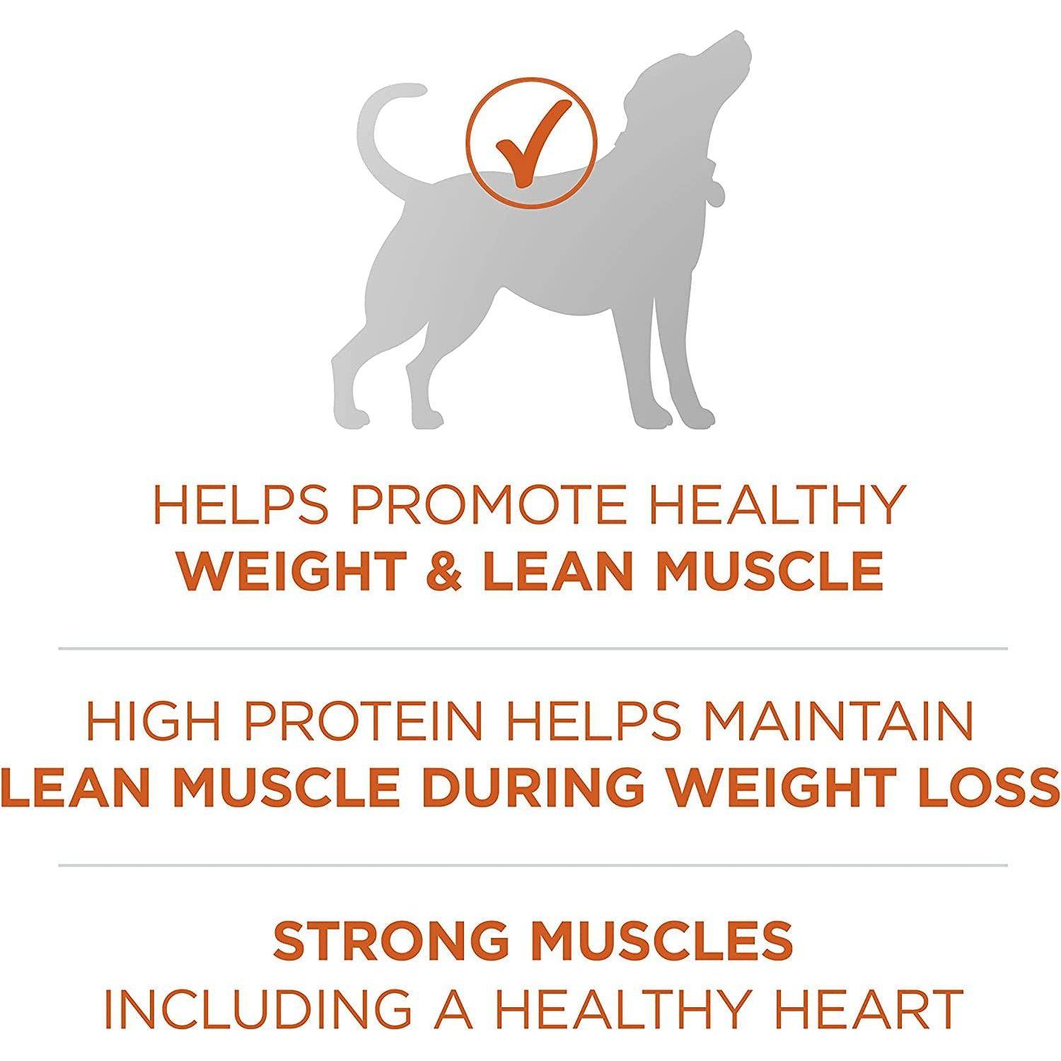 Illustration of a dog silhouette with a checkmark indicating it helps promote healthy weight and lean muscle, high protein maintains lean muscle during weight loss and strong muscles including a healthy heart.