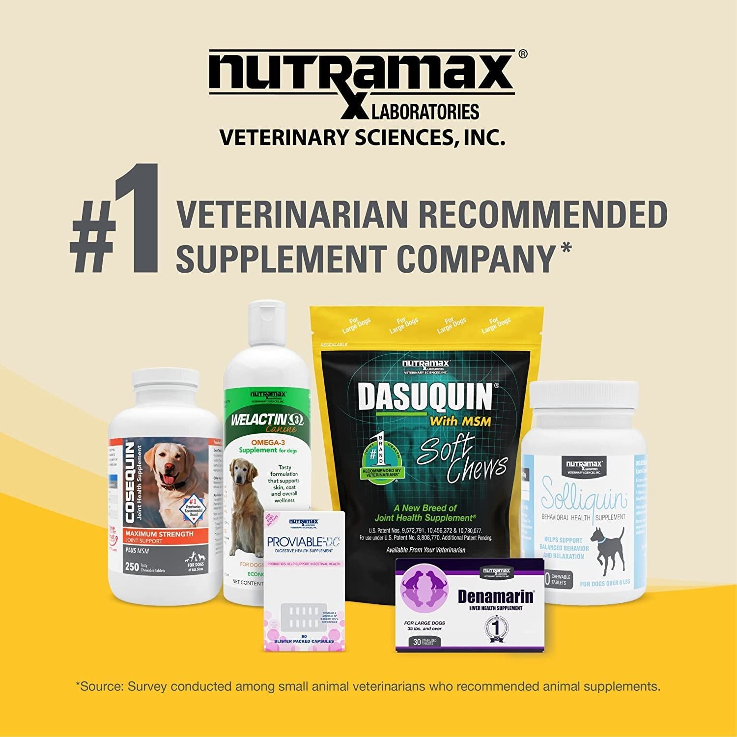 Nutramax Laboratories Dasuquin with MSM Joint Health Supplement for Large Dogs - with Glucosamine, MSM, Chondroitin, ASU, Boswellia Serrata Extract, and Green Tea Extract, 150 Soft Chews - HappyTails