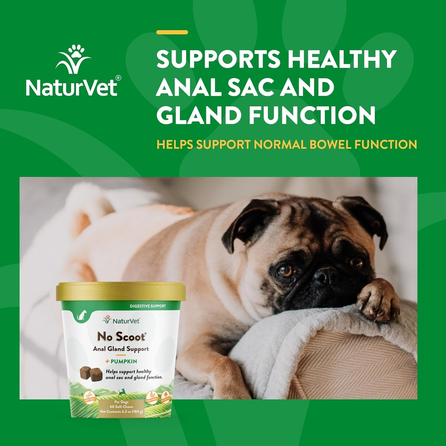 Naturvet - No Scoot for Dogs - 60 Soft Chews - plus Pumpkin - Supports Healthy Anal Gland & Bowel Function - Enhanced with Beet Pulp & Psyllium Husk