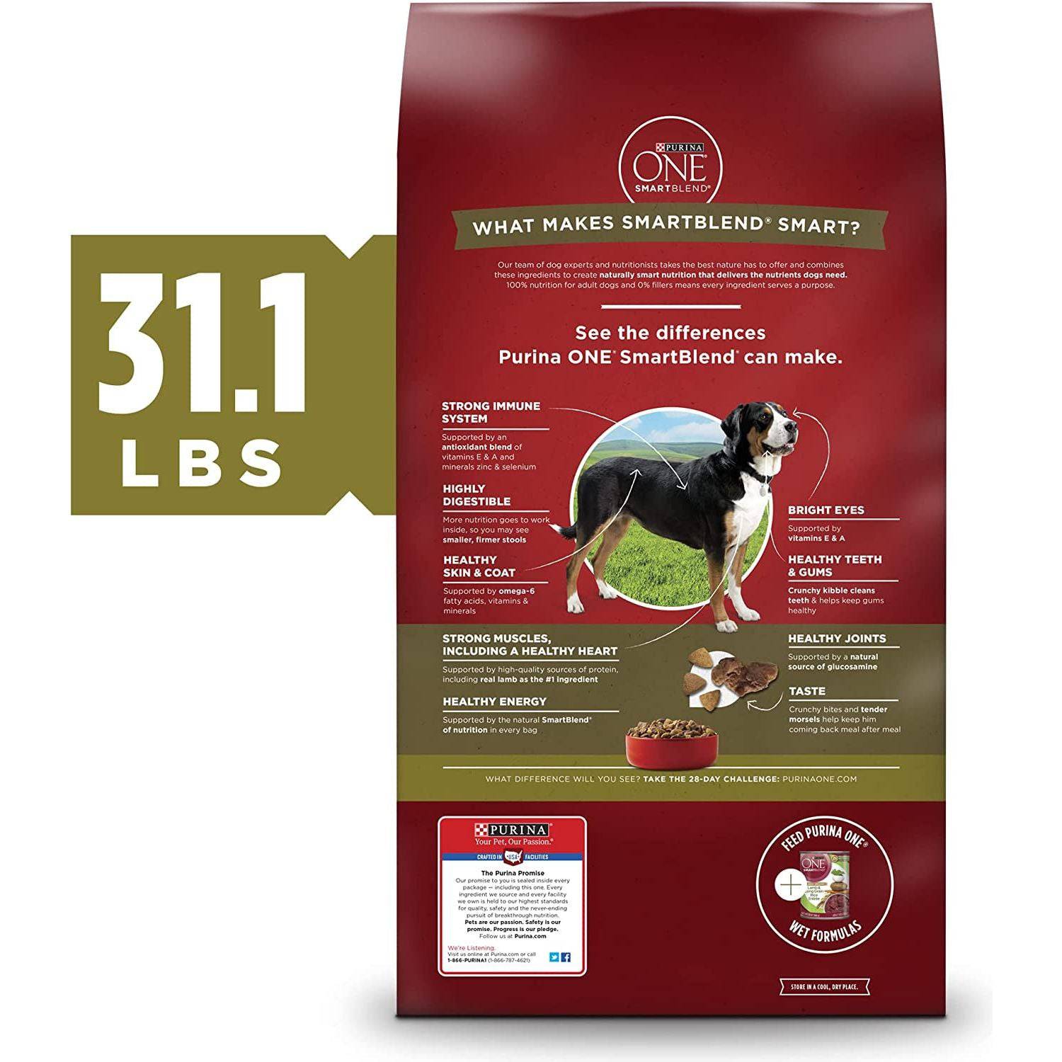 A 31.1 lb bag of Purina ONE SmartBlend dog food with bullet points highlighting benefits such as strong immune system, highly digestible, healthy skin and coat, strong muscles with a healthy heart, and bright eyes and healthy teeth. A photograph of a black and white dog in a grassy field is displayed on the bag. Additional information about the product and the 28-day challenge is listed at the bottom.