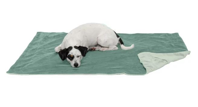 Furhaven Waterproof Blanket - EachPaw