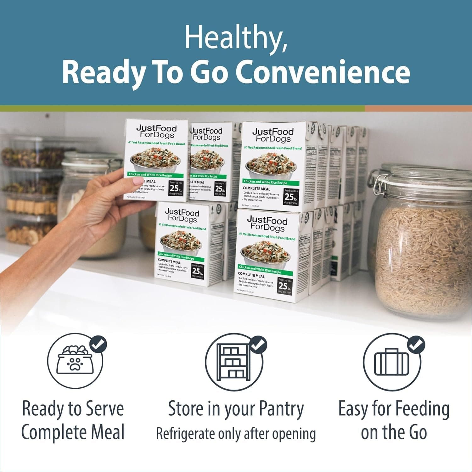 A person's hand holding a packet of 'JustFood ForDogs' dog food above a white counter filled with similar packets and a glass jar of dog food; accompanied by text: 'Healthy, Ready To Go Convenience', and icons denoting meal benefits.