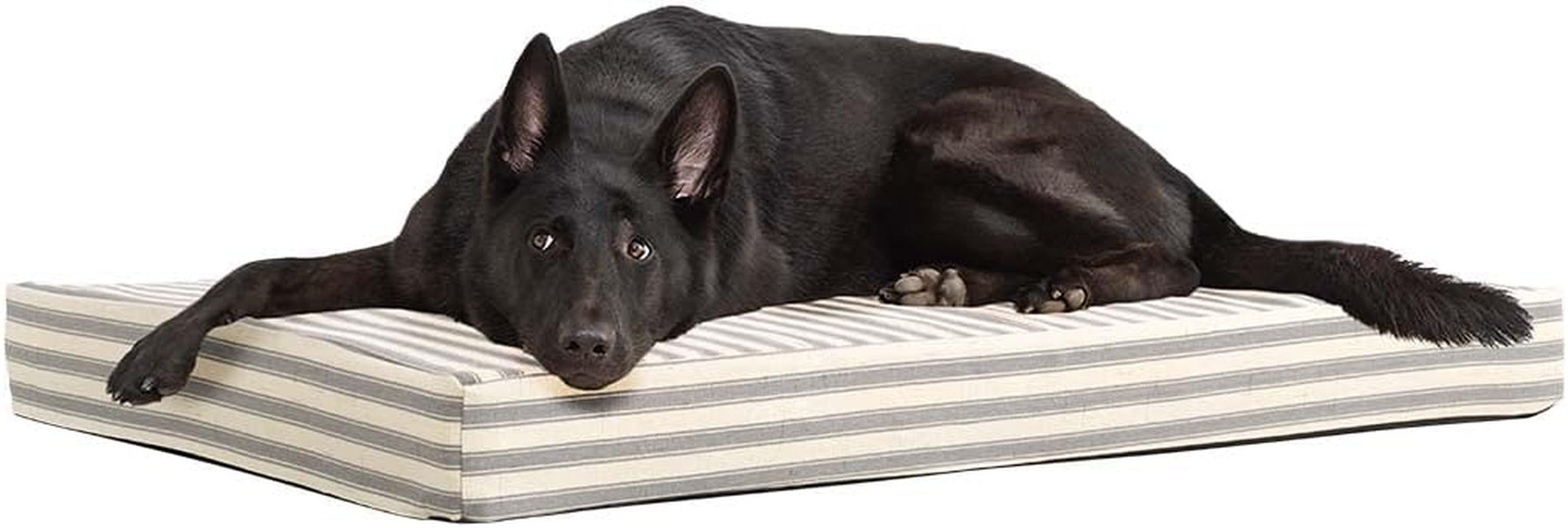 Barkbox Memory Foam Platform Dog Bed | Plush Mattress for Orthopedic Joint Relief (Medium, Grey)