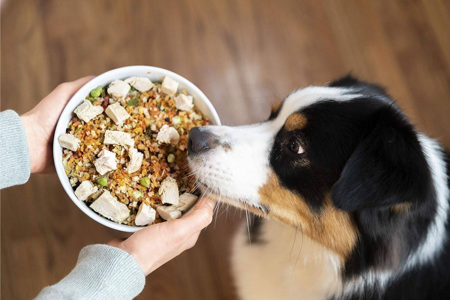 An image featuring a dog eagerly enjoying a bowl of food.