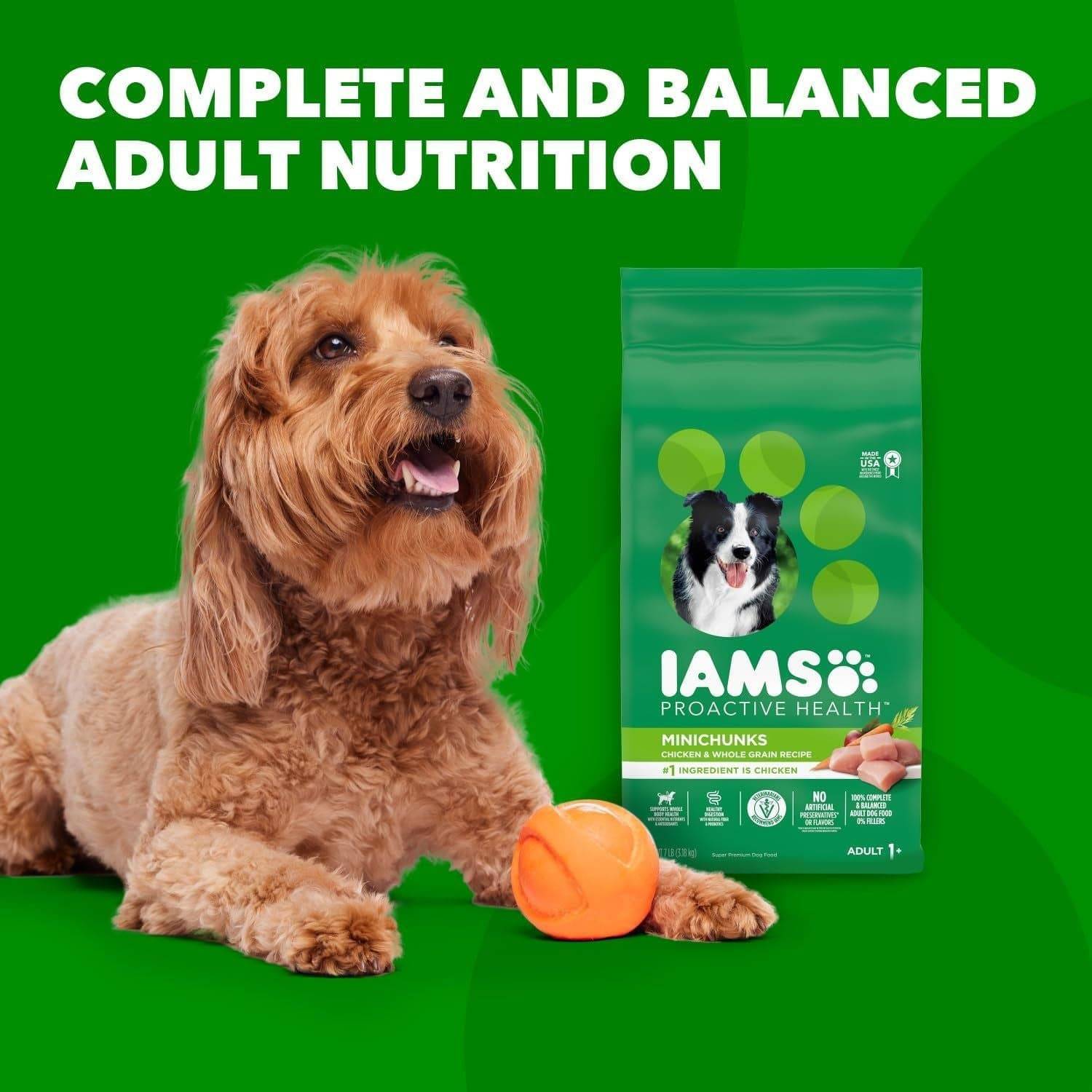 A brown dog is lying down next to an orange ball with a green background that includes text reading "COMPLETE AND BALANCED ADULT NUTRITION" and a pack of IAMS Proactive Health Minichunks dog food with a picture of a black and white dog on the pack.