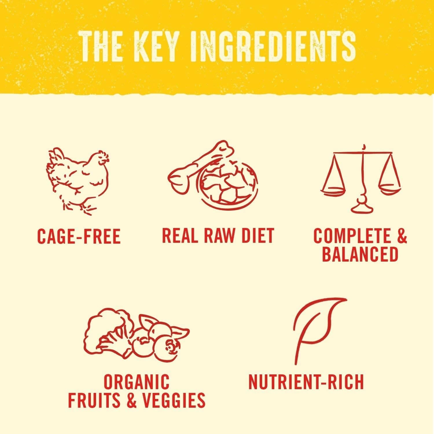 Graphic with text reading "The Key Ingredients" followed by illustrations and labels for "Cage-Free" with a chicken, "Real Raw Diet" with a raw meat, "Complete & Balanced" with a scale, "Organic Fruits & Veggies" with vegetables, and "Nutrient-Rich" with a leaf icon.