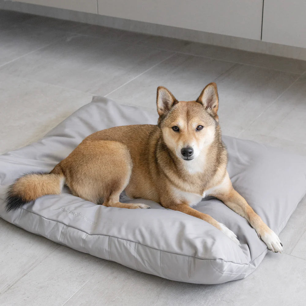 Lambwolf Dog Bed