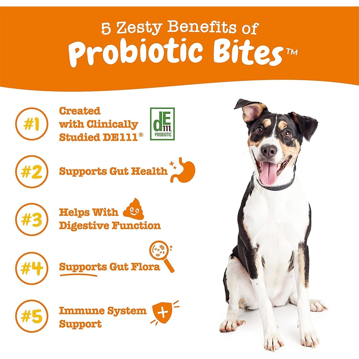 Zesty Paws Probiotics for Dogs Soft Chew With Digestive Enzymes - HappyTails