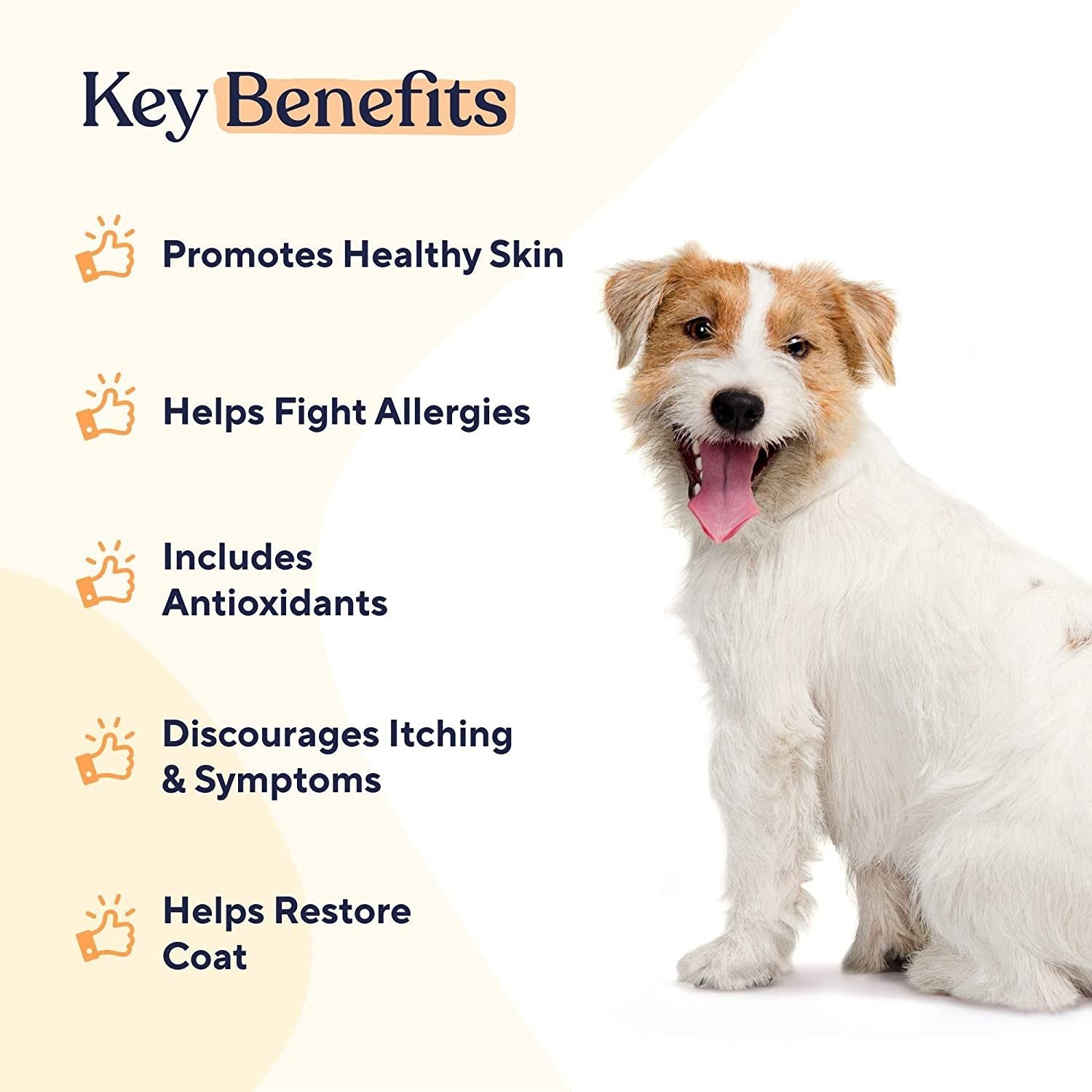 Pawfy Dogs Skin & Coat Soft Chews | Allergies | Itching | Licking | Paw Biting | Scratching & More - HappyTails